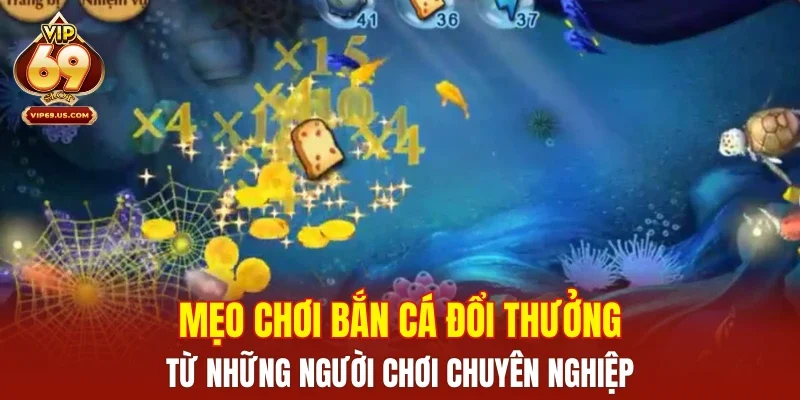 Mẹo chơi bắn cá đổi thưởng từ những người chơi chuyên nghiệp